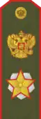 Schulterstück Uniform Grundform (1994–2010)