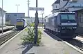 Mit abgesenkten Stromabnehmern sind E-Lok 146 519 (RBB) und 185 551 (MRCE) im oberleitungslosen Bahnhof Gütersloh Nord abgestellt.