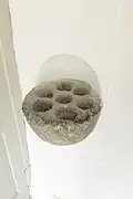 Schalenstein, links vom Seitenportal
