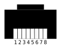 8P8C-Stecker. Ansicht von vorne. Rastnase oben liegend.