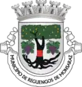 Wappen der Stadt Reguengos de Monsaraz