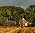 Zuidbarge