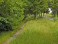 Umgehungsgraben am Ostrand des Kunstteiches