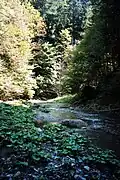 In der Raabklamm