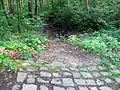 Abfluss auf der Westseite von Schwarzes Teich