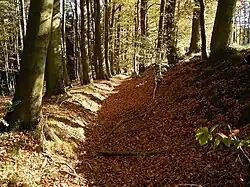 Landwehr am Waldrand östl. Wellershausen