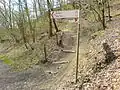 Treppenstufen bei Bülgenauel