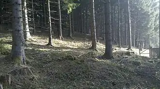 Rainer Berg Nähe höchster Punkt