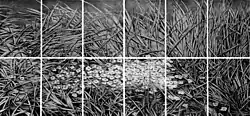 Rainer Wölzl, Gras des Vergessens (1986)