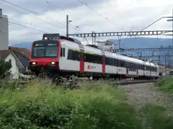 NPZ Domino