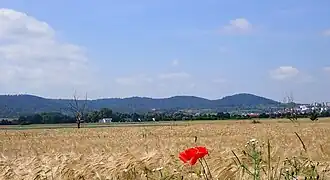 Rammert von Norden, recht Rotenberg und Rottenburg am Neckar
