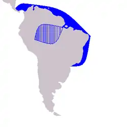 Amazonasbecken: Amazonas-Sotalia, Atlantik: Guyana-Delfin