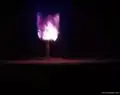 Aufnahme der Explosion des Ranger-Fox-Testes