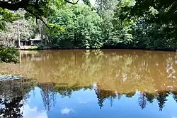 Landshuber Weiher