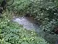 Blick vom Südufer, zwischen Rosdorf und der Mündung