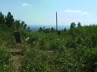 Blick von Gipfelregion in Richtung Wiesbaden