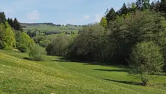 Blick vom Sichtertal zur Rassel