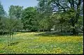 Ratsdienergarten im Frühling 2000