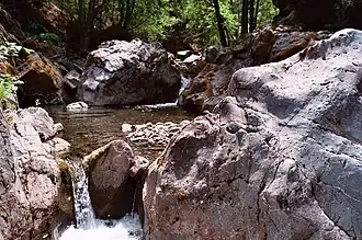 Der Rattlesnake Creek