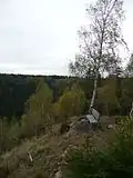 Bank auf der Felsklippe des ehemaligen Kernwerks