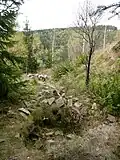Grabungsstellen und behauene Steine als vermutliche Mauerreste