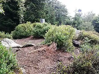Gipfelplateau