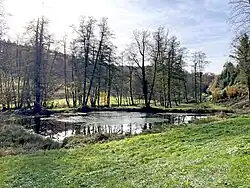 Mühlenteich (rechts: Abfluss in den Obergraben)