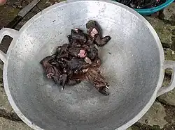 Zum Kochen bereit