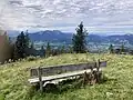 Blick zum Brauneck und zur Benediktenwand