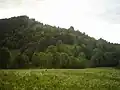Sonntraten oder Sunndraht an der Südseite des Berges
