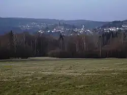Reifenberger Wiesen