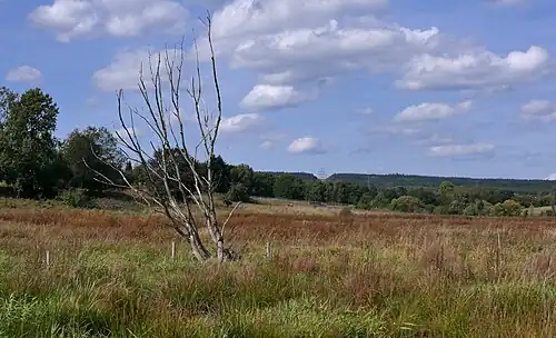 Naturschutzgebiet Osterbachtal