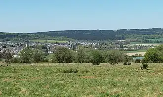 Blick auf Reinsfeld