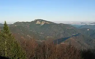 Die Reisalpe vom Südwesten (von der Ostseite des Türnitzer Höger aus)