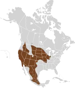 Verbreitungsgebiet