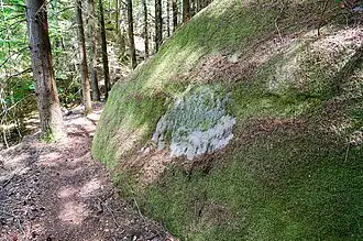 Rentnerpfad im Bereich des Großen Stephansbergs
