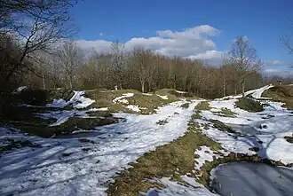 Zerwühltes Gelände der ehemaligen Ouvrage de Thiaumont, ein Jahrhundert nach der Schlacht