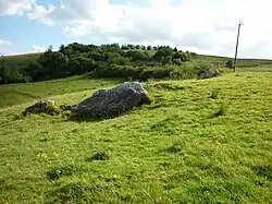 Reyfad Steine