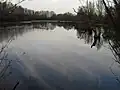 Rheinaue in Duisburg-Walsum / Dinslaken