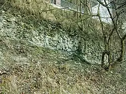 Steilufer an der Ems in Rheine