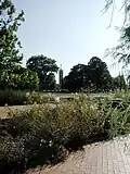 Blick zum Messeturm