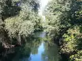 Rheinseitenkanal in Freistett