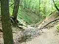 Bei Lahnstein – In der Ruppertsklamm