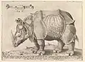 E. Vico nach Albrecht Dürer: Rhinocerus, 1542