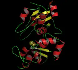 Rhodanase