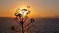 Sonnenuntergang über Rhodos von den Hügeln des Monte Smith. Im Hintergrund die Türkische Küste.