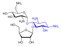 Ribostamycin (blau: Desoxystreptamin-Struktur)