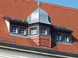 Dachgaube (2020)
