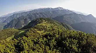 Rieselsberg vom Bayerischen Schinder aus