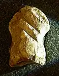 Riesenhirschknochen der Einhornhöhle ca. 49.000 v. Chr.; Einhornhöhle, Deutschland